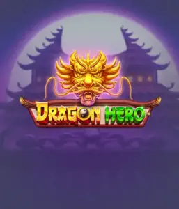 Отправьтесь в легендарное приключение с игрой Dragon Hero от Pragmatic Play, представляющей яркую визуализацию древних драконов и героических битв. Погрузитесь в мир, где магия встречается с волнением, с символами вроде зачарованных оружий, мистических существ и сокровищ для очаровательного приключения.