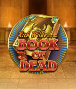 Войдите в захватывающий мир Book of Dead от Play'n GO, демонстрирующий яркую графику приключений Рича Уайлда по древнеегипетским гробницам и артефактам. Раскройте затерянные богатства с захватывающими механиками, такими как бесплатные вращения, расширяющиеся символы и возможность игры на риск. Идеально для любителей приключений, желающих волнующих находок.